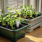 4Pcs Indoor Plant Watering Automatic Self Watering Garden Waterer Plants Drip Irrigation Houseplant Supplies