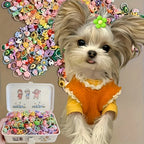 Pet Hair Accessory Set, Cute Designs of Flowers, Bows, Fruits, and Small Animals, Headbands and Hairbands Suitable for Dogs and Cats (Hair Accessories Only, Random Styles and Colors)